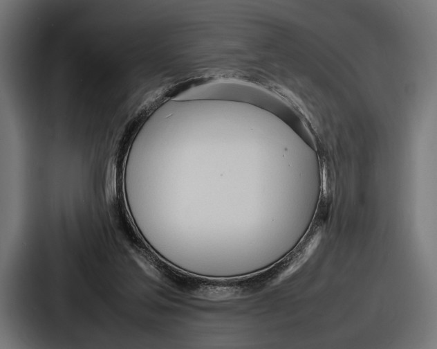 X0000086720205200705111601