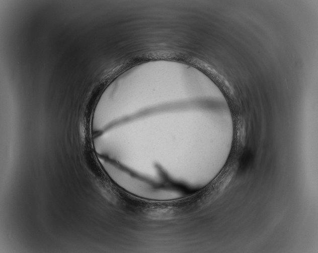 X0000086720206200705111601