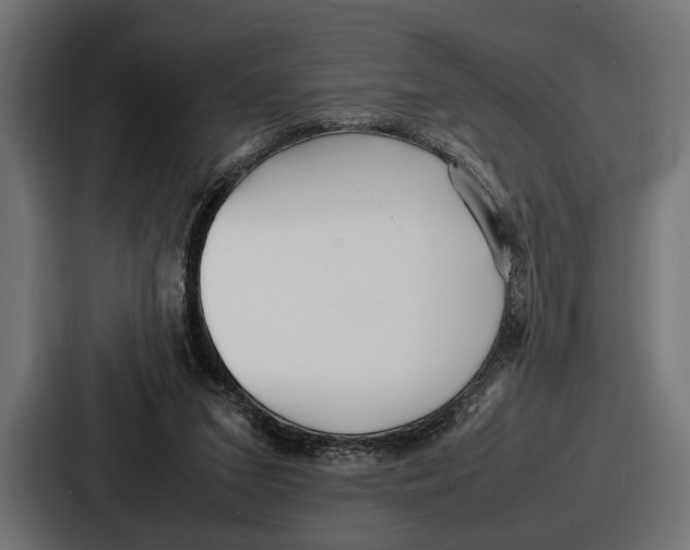 X0000086720207200705111601