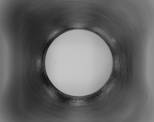 X0000086720208200705111601