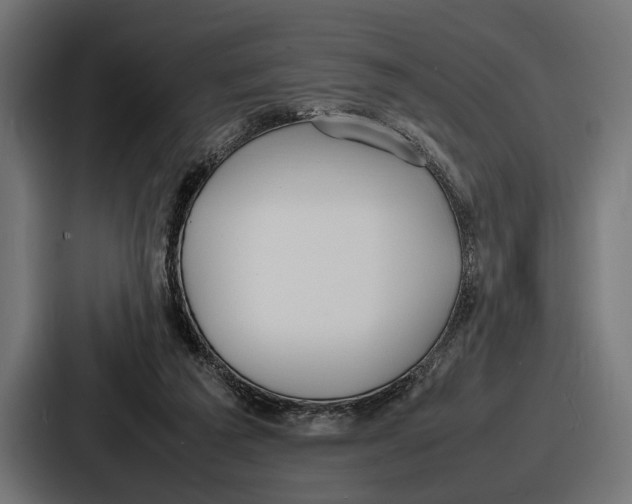 X0000086720209200705111601