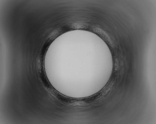 X0000086720210200705111601