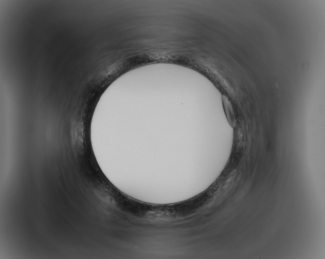 X0000086720211200705111601