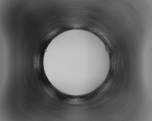 X0000086720212200705111601