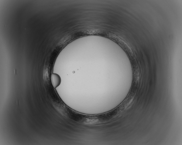 X0000086720214200705111601