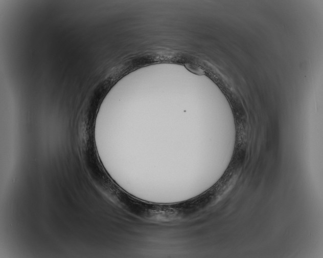 X0000086720215200705111601