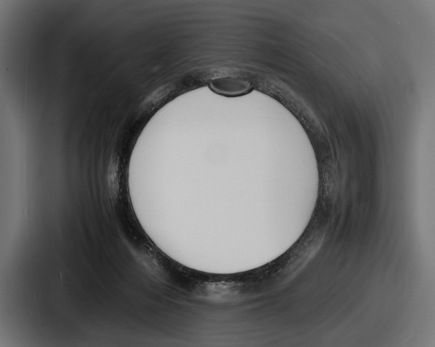 X0000086720216200705111601