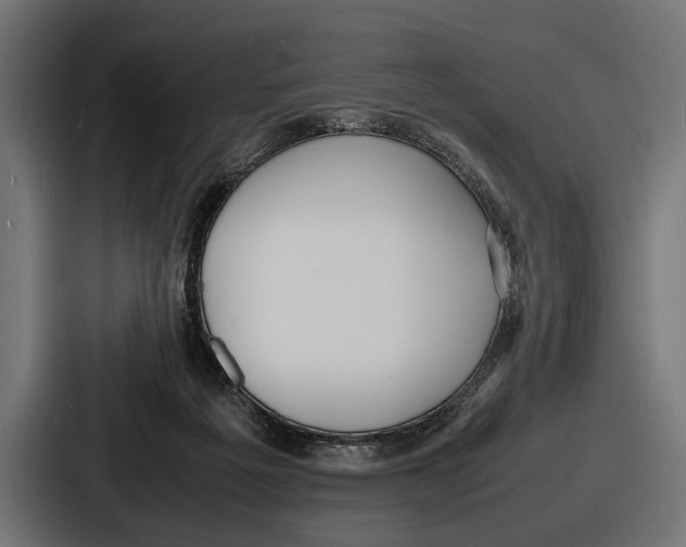 X0000086720217200705111601