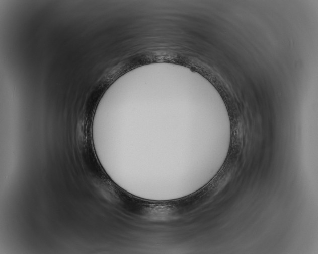 X0000086720218200705111601