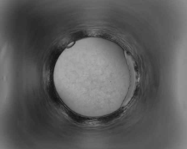 X0000086720219200705111601