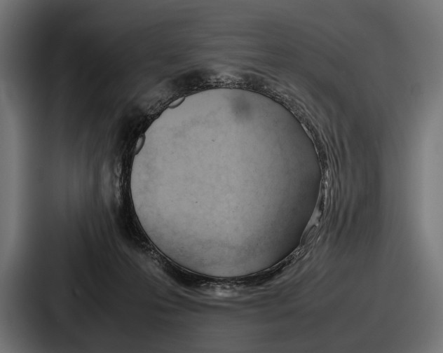 X0000086720223200705111601