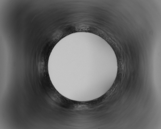 X0000086720224200705111601