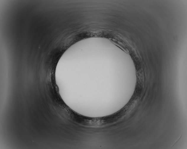 X0000086720225200705111601