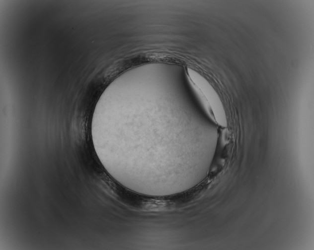 X0000086720227200705111601