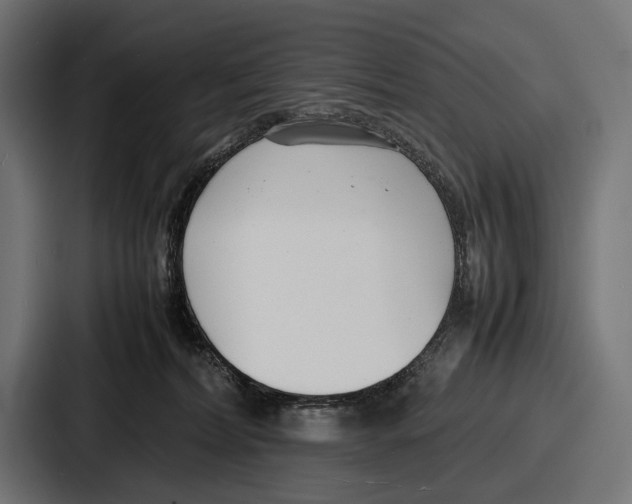 X0000086720228200705111601