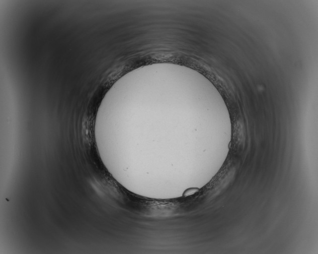 X0000086720234200705111601