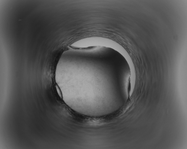 X0000086720235200705111601