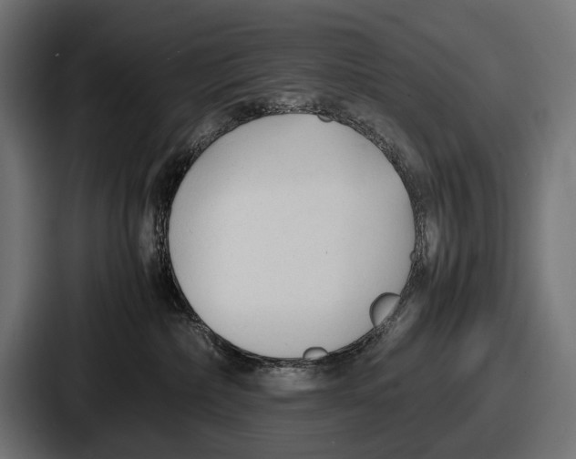 X0000086720236200705111601