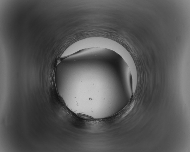 X0000086720237200705111601