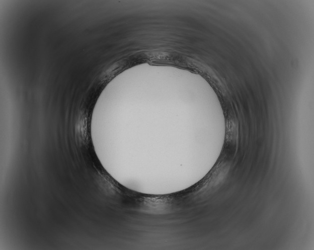 X0000086720238200705111601