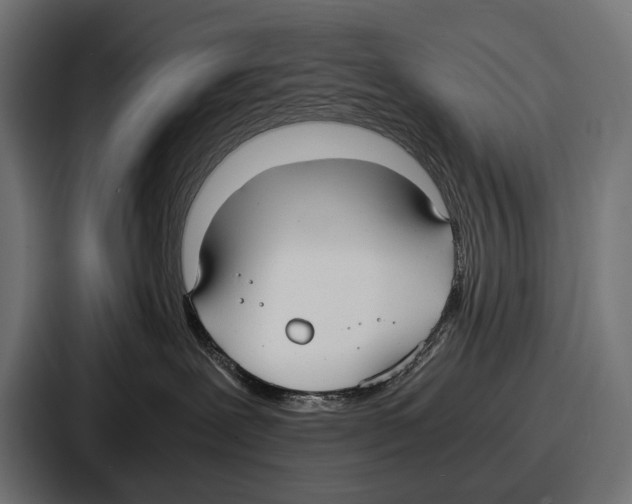 X0000086720239200705111601