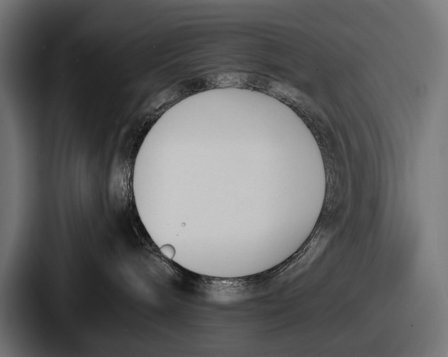 X0000086720240200705111601