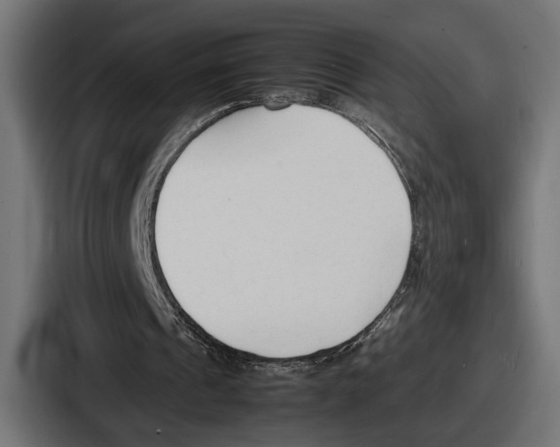 X0000086720241200705111600