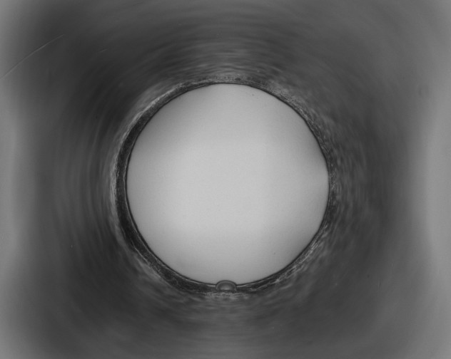 X0000086720242200705111600