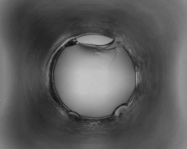 X0000086720243200705111600