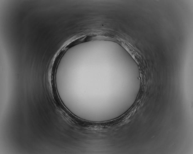 X0000086720244200705111600