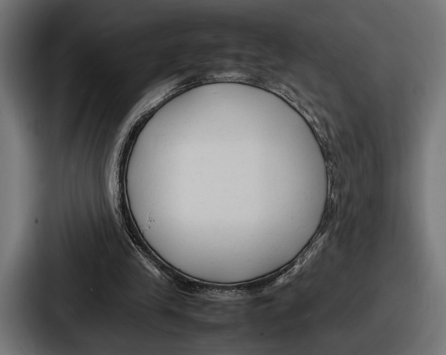 X0000086720245200705111600