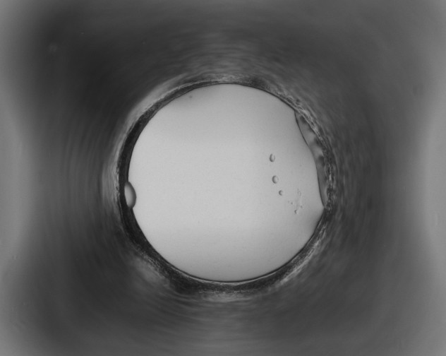 X0000086720246200705111600