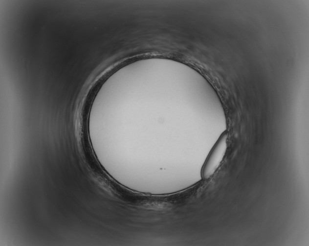 X0000086720247200705111600