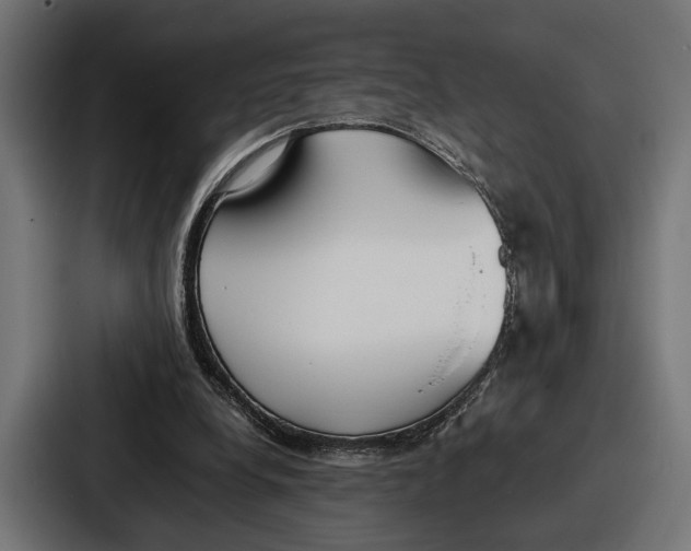 X0000086720248200705111600