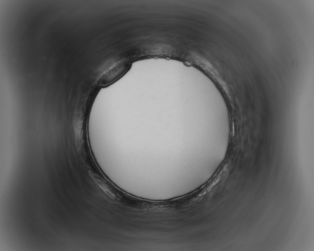 X0000086720249200705111600