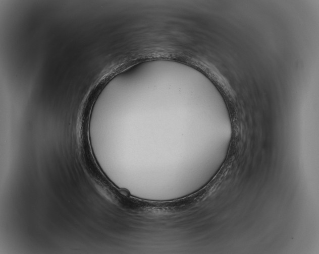 X0000086720250200705111600