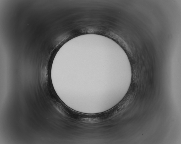 X0000086720251200705111600