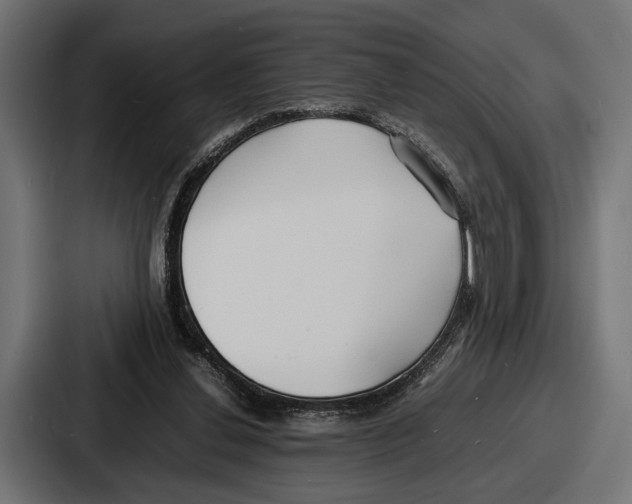 X0000086720252200705111600