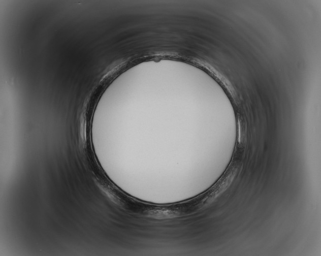 X0000086720253200705111600