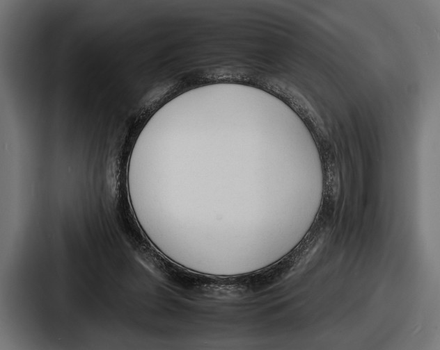 X0000086720255200705111601