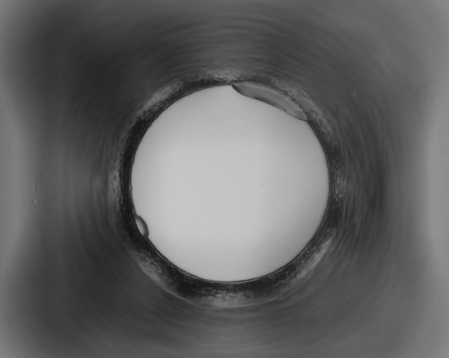 X0000086720256200705111601