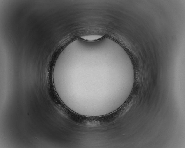 X0000086720258200705111601