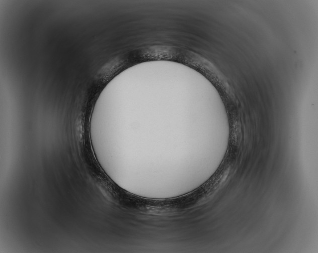 X0000086720259200705111601