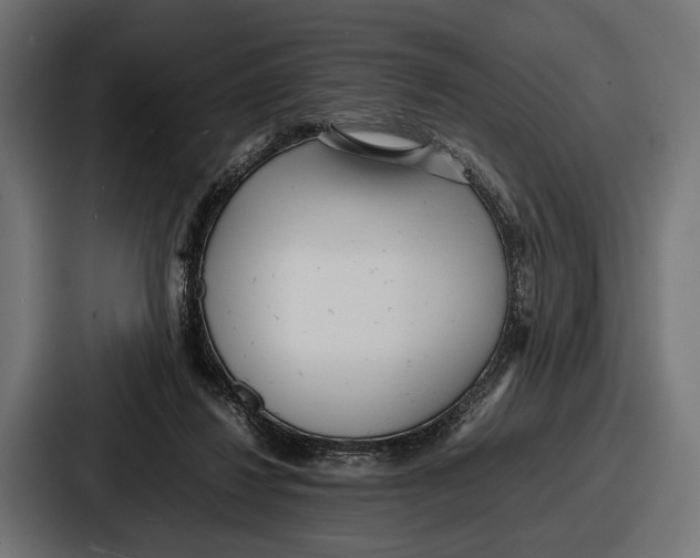 X0000086720260200705111601