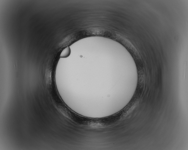 X0000086720262200705111601