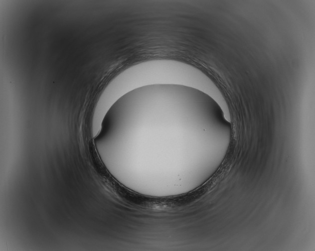 X0000086720264200705111601