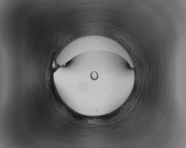 X0000086720268200705111601