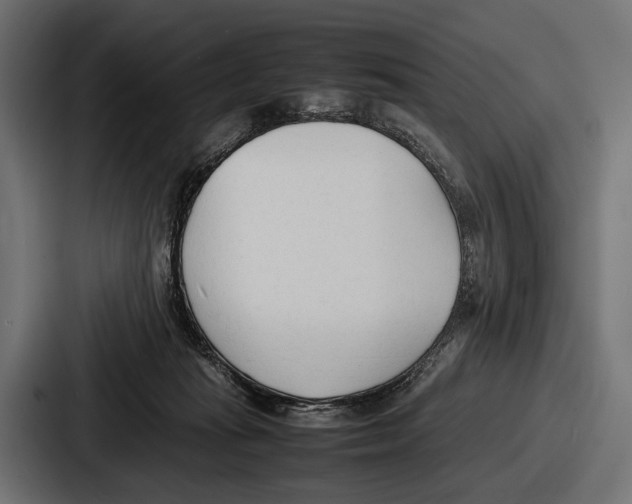 X0000086720269200705111601