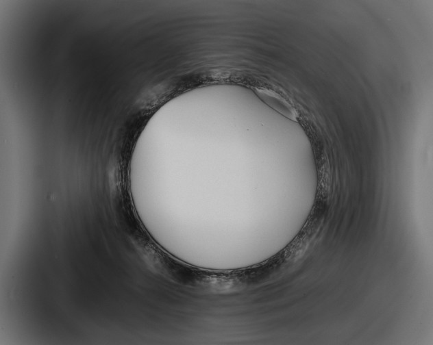 X0000086720272200705111601