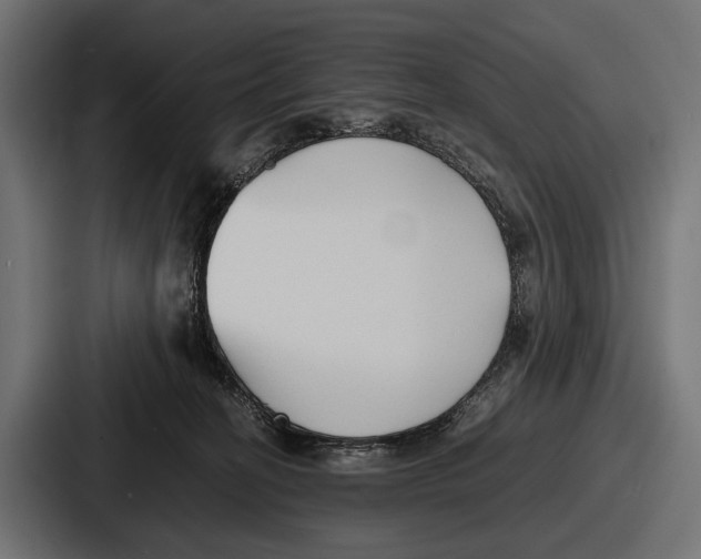 X0000086720274200705111601